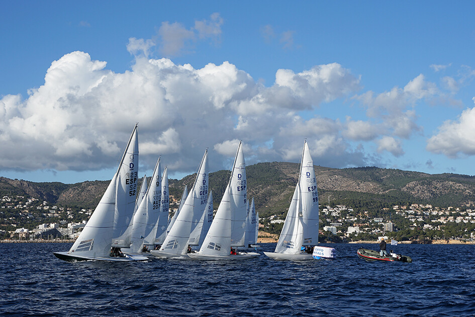 Puerto Portals im Südwesten Mallorcas ist mittlerweile der Hafen mit der größten Drachenflotte Spaniens und bietet den Sportlern Rennen auf internationaler Ebene.