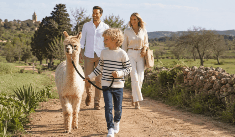 Wandern mit Alpakas – ein Mallorca-Erlebnis von Deluxe-Mallorca.com