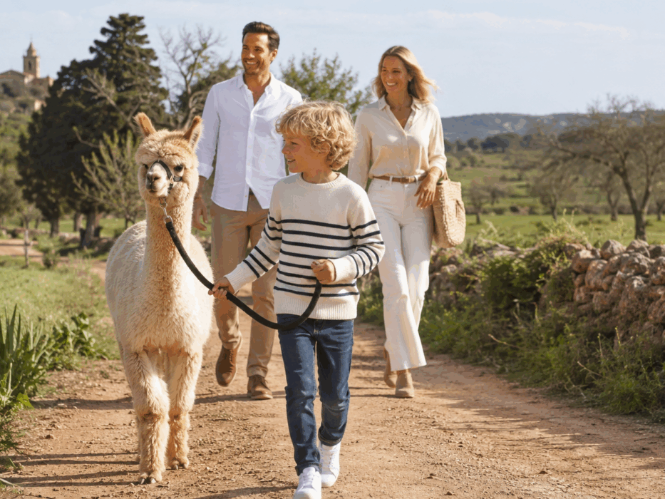 Wandern mit Alpakas – ein Mallorca-Erlebnis von Deluxe-Mallorca.com