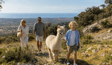 Wandern mit Alpakas – ein Mallorca-Erlebnis von Deluxe-Mallorca.com