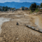 Vision einer Flusslandschaft nach El Niño 2026, KI generiert